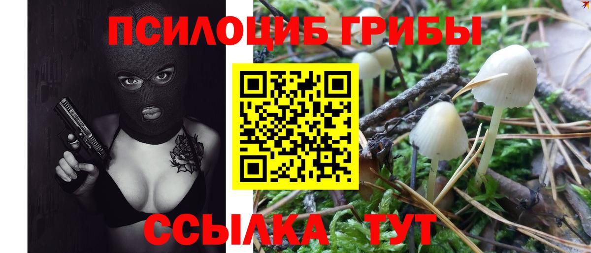Галлюциногенные грибы Psilocybe Алушта