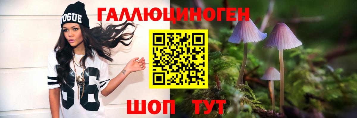 Галлюциногенные грибы Cubensis  Вход с VPN  Алушта  Галлюциногенные грибы MAGIC MUSHROOMS 